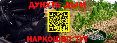 гидропоника Берёзовский