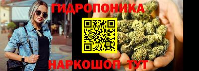 гидропоника Берёзовский