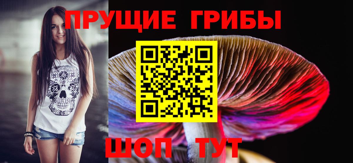 Кисловодск  Псилоцибиновые грибы мухоморы  Галлюциногенные грибы GOLDEN TEACHER  Вход с VPN 